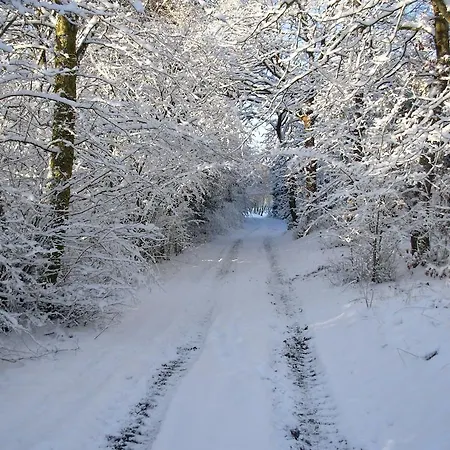 Panzió Gregersminde Billund
