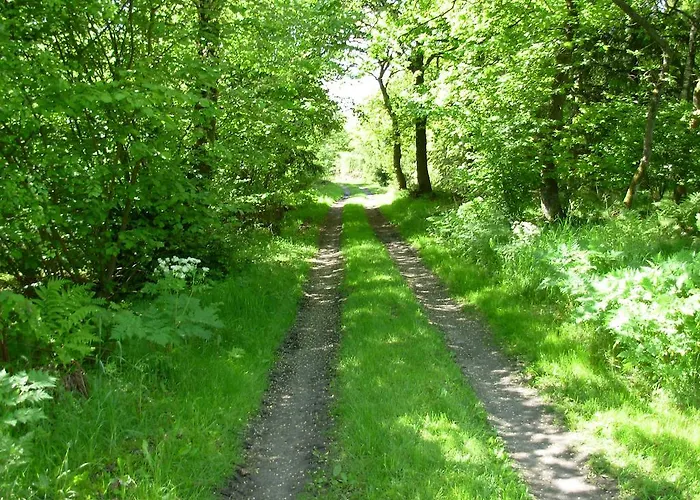 Bed & Breakfast Gregersminde