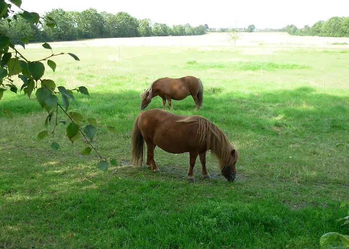 Gregersminde Billund