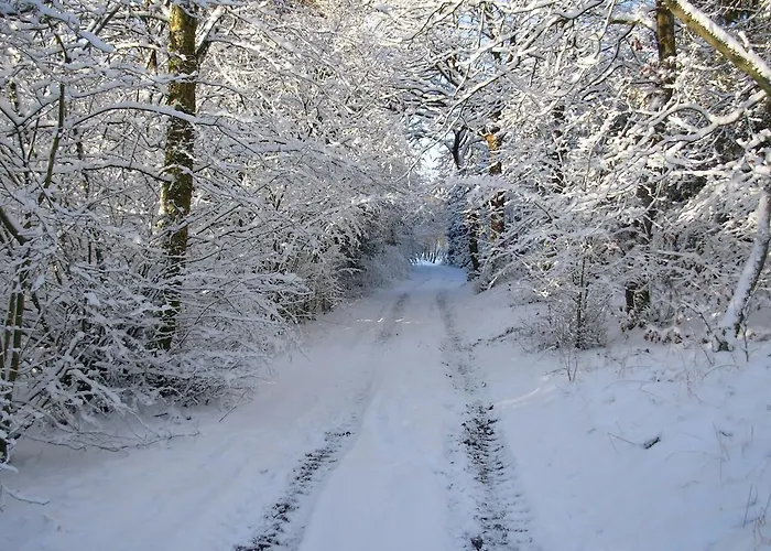 Bed & Breakfast Gregersminde Billund