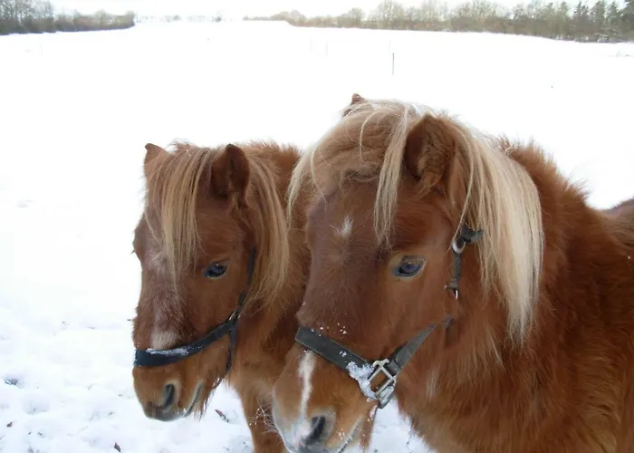 Bed & Breakfast Gregersminde *